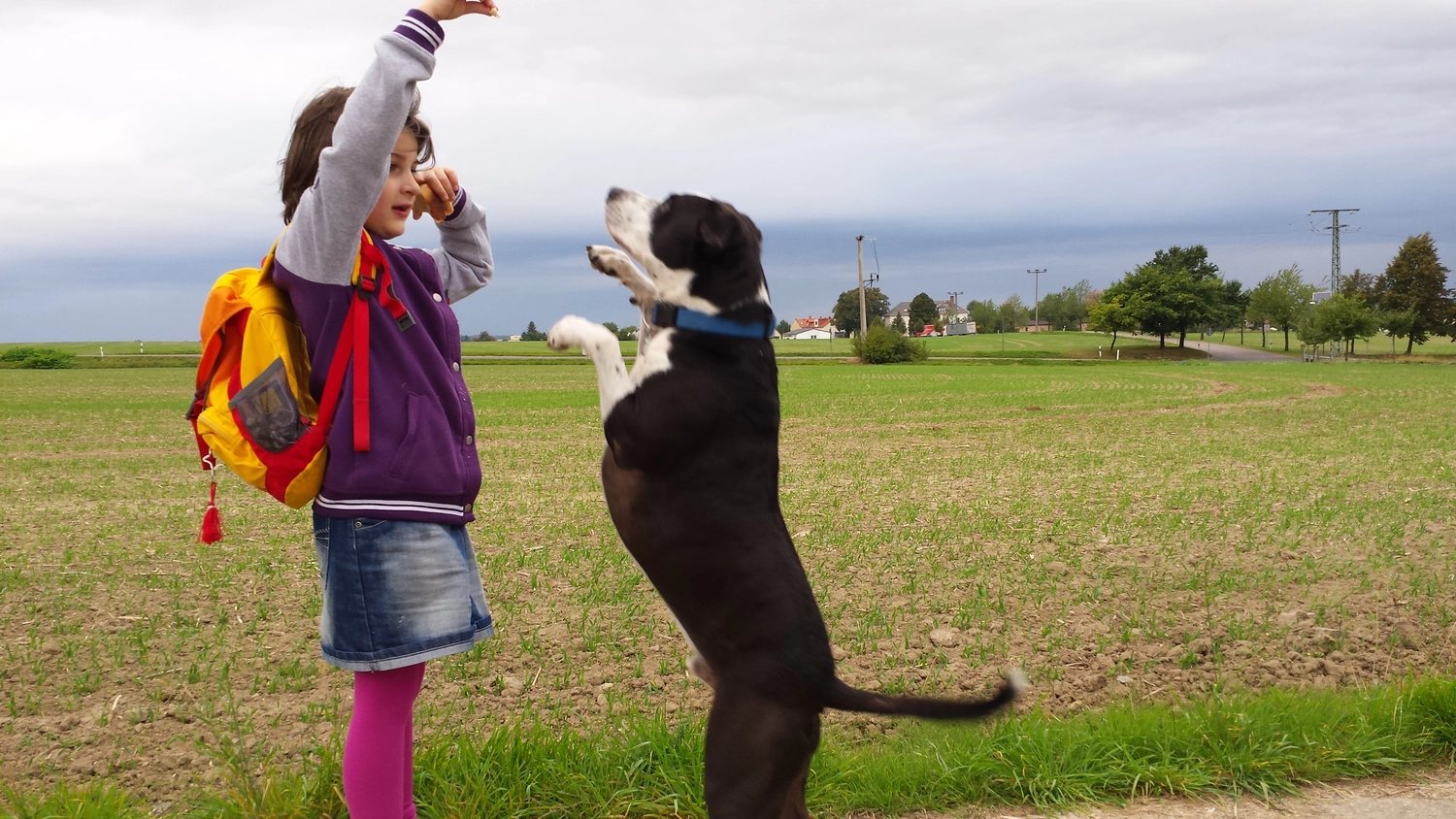 Lebensfreunde Dresden - Seniorenbetreuung und Kinderbetreuung - Kindergarten