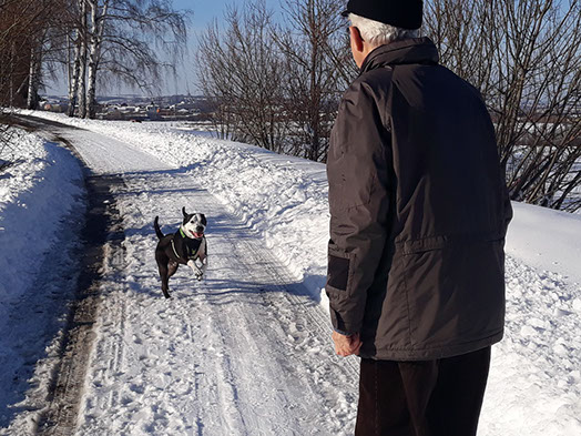 Mann geht mit einem Hund spazieren während es Schneit