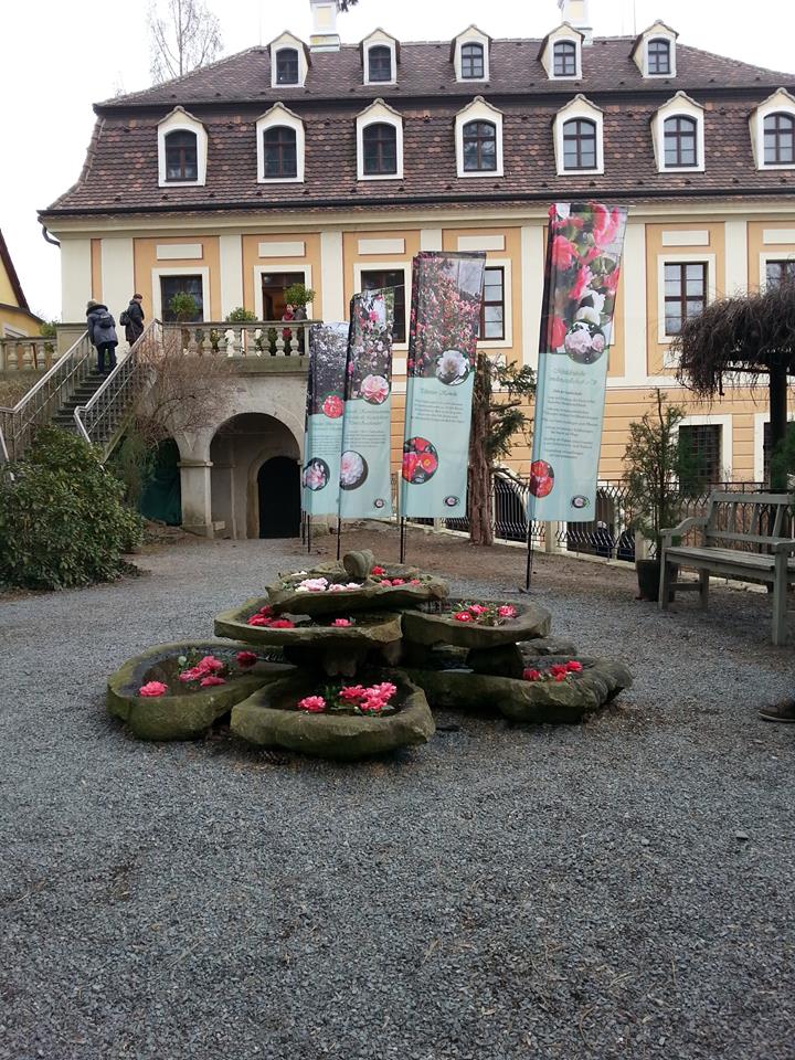 Lebensfreunde Dresden - Seniorenbetreuung und Kinderbetreuung - haus